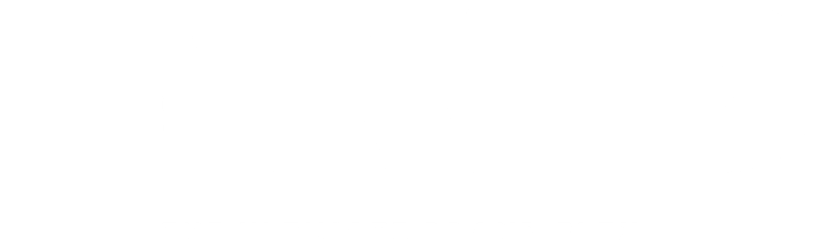 Store INKED